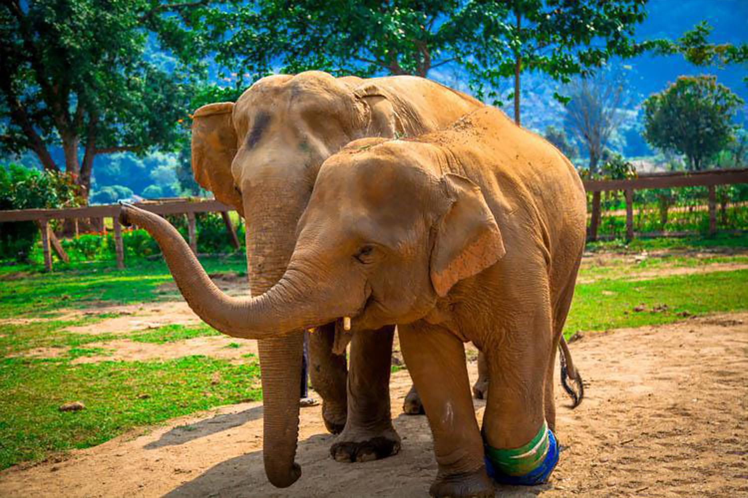 séjour à chiang mai sur mesure en français