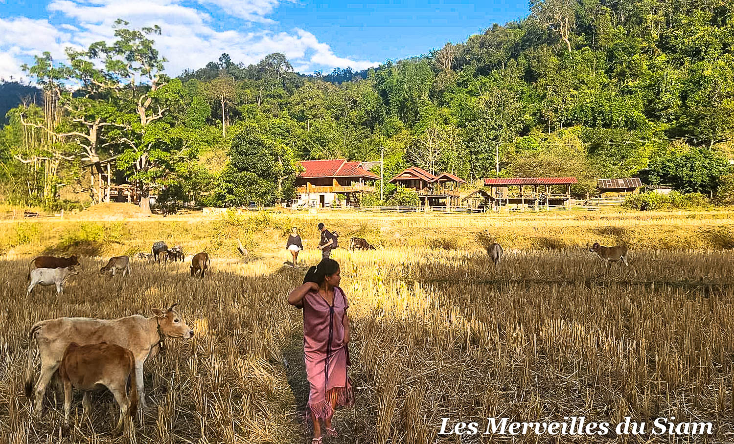 Séjour Confort En Immersion Chez L’habitant Chez Les Karen à Chiang Mai