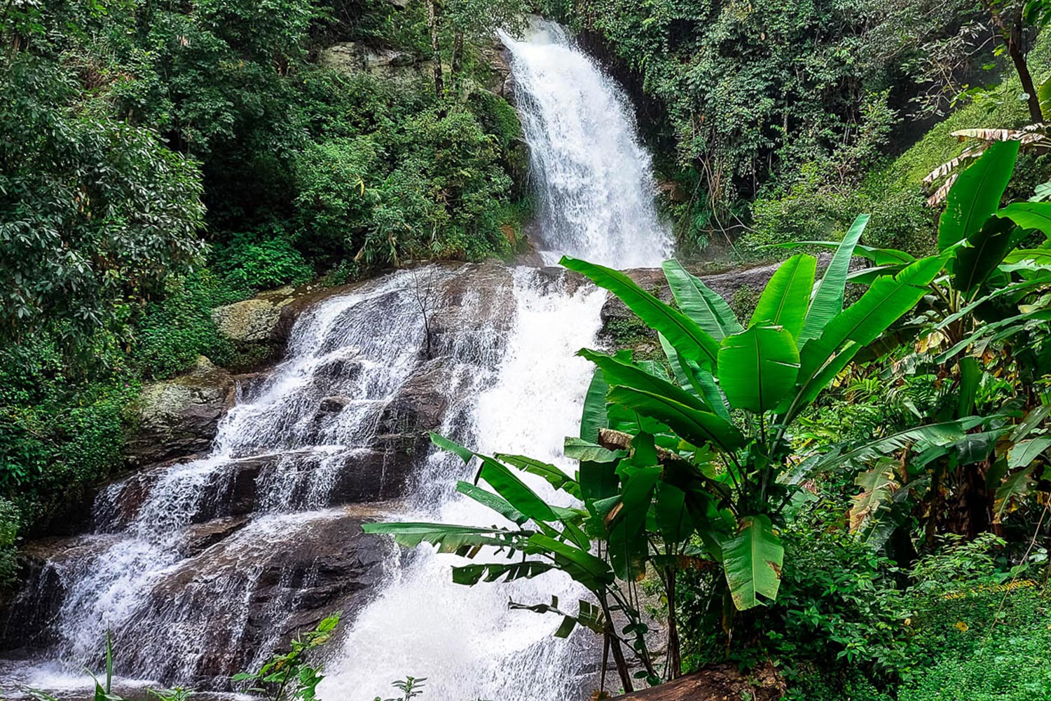 trek de 2 jours au doi inthanon et à ban pa pong piang (chiang mai)